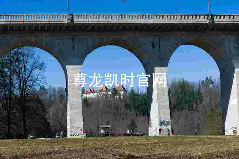 尊龙凯时官网