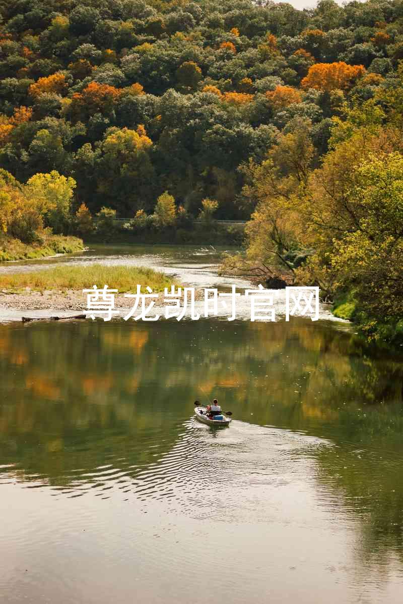 尊龙凯时官网