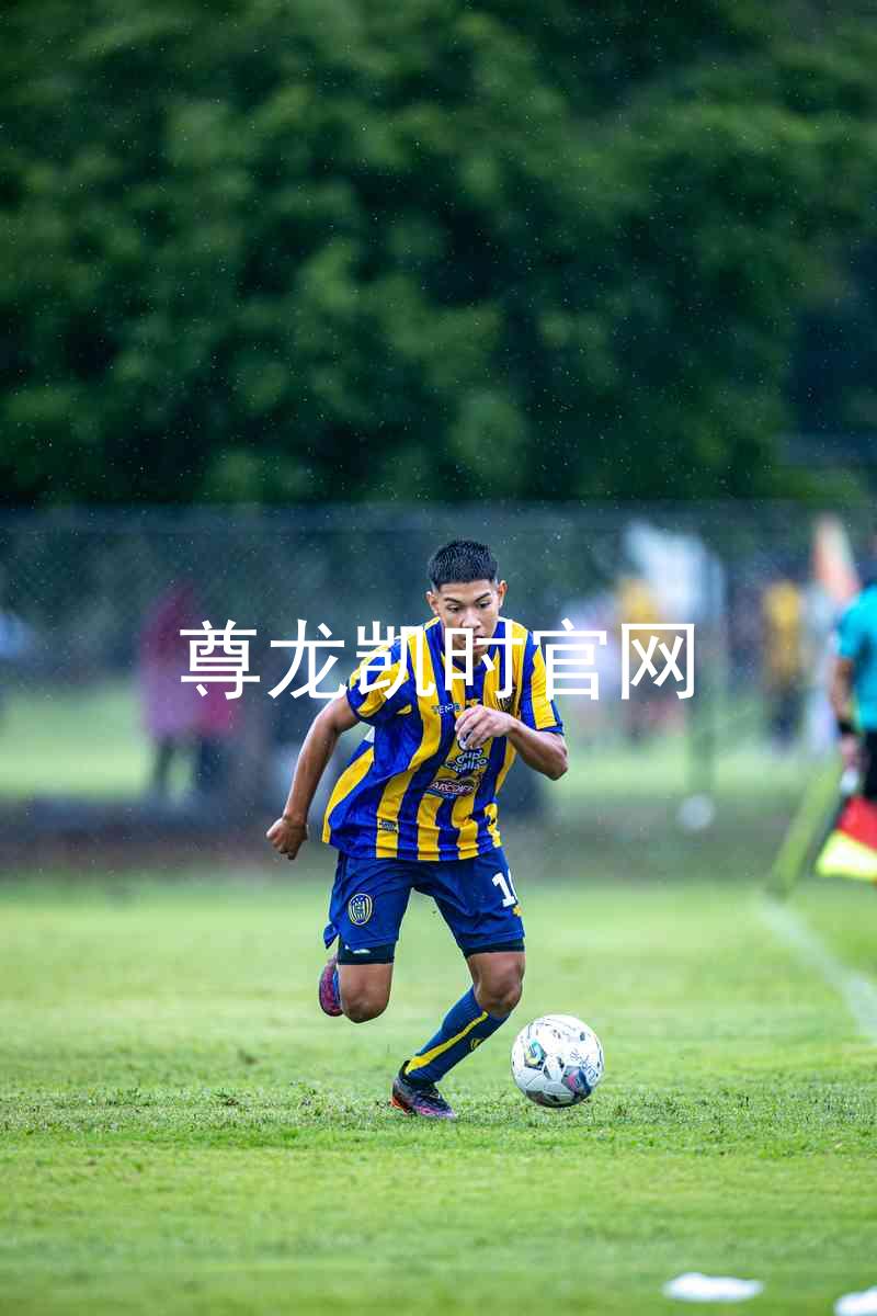 尊龙凯时官网