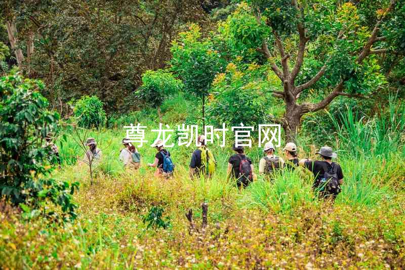 尊龙凯时官网